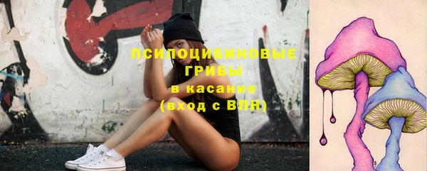 крисы Алексин