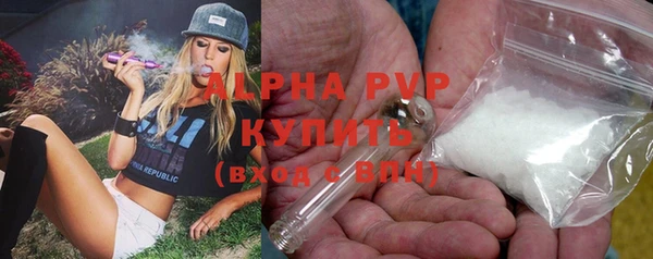 крисы Алексин